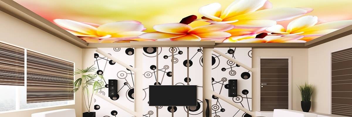 Натяжные потолки с фотопечатью Натяжные потолки с фотопечатью